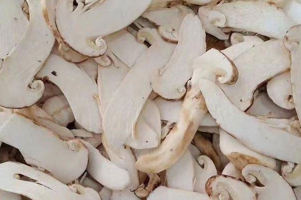 月經少能吃松茸嗎