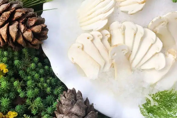 新鮮松茸存放時(shí)間長(zhǎng)嗎 新鮮松茸存放時(shí)間長(zhǎng)嗎