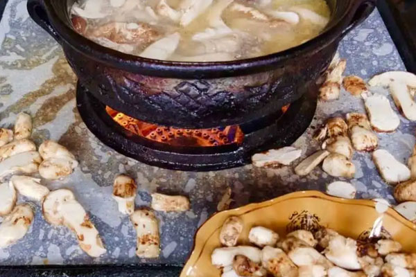 松茸有人工種植的嗎