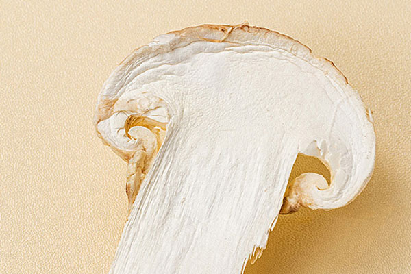 松茸可以降血壓嗎