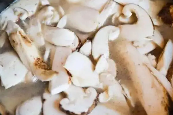 骨湯和松茸菌湯哪個營養(yǎng)多