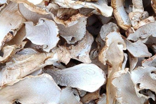 干松茸時(shí)間長(zhǎng)了還可以吃嗎 干松茸時(shí)間長(zhǎng)了還可以吃嗎