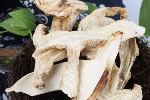 泡了8小時的干松茸能吃嗎 泡了8小時的干松茸能吃嗎