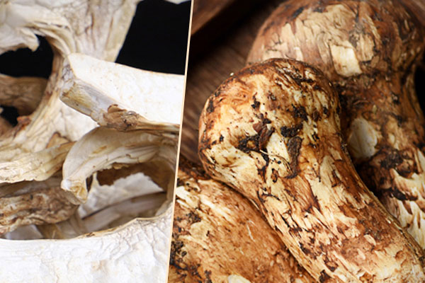 松茸抗輻射嗎，松茸為什么不能水洗