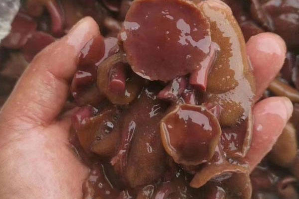 紅乳牛肝菌湯吃起來(lái)微苦 紅乳牛肝菌湯吃起來(lái)微苦