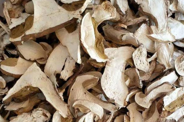 干牛肝菌是不是沒(méi)有營(yíng)養(yǎng) 干牛肝菌是不是沒(méi)有營(yíng)養(yǎng)