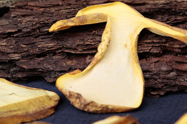 浸泡過(guò)干牛肝菌的水要嗎 浸泡過(guò)干牛肝菌的水要嗎