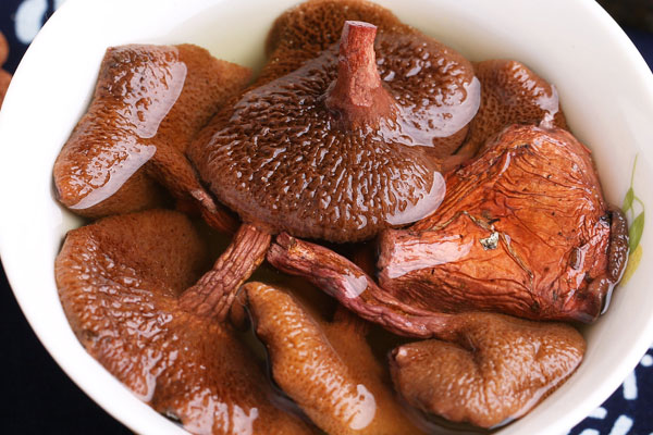 牛肝菌吃多了有沒(méi)有副作用 牛肝菌吃多了有沒(méi)有副作用