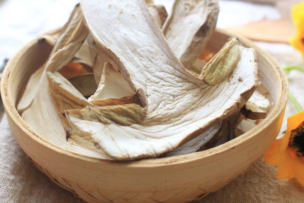 牛肝菌能和鱔魚一起吃嗎 牛肝菌能和鱔魚一起吃嗎