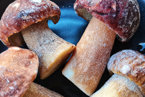 一年前凍的牛肝菌還可以吃嗎 一年前凍的牛肝菌還可以吃嗎