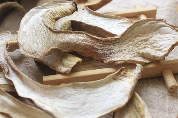 炒牛肝菌可以放蠔油嗎 炒牛肝菌可以放蠔油嗎