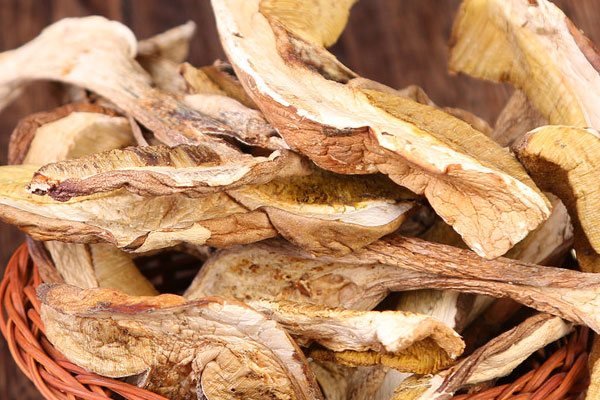 干品牛肝菌貴嗎 干品牛肝菌貴嗎