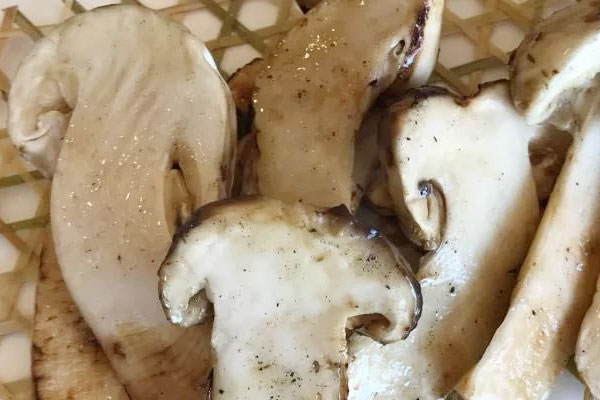 松蕈和松茸是同一種東西嗎