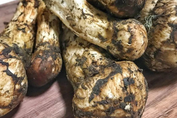 松茸可以保存多長時間