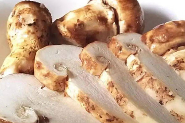 為什么泡松茸酒要高濃度酒