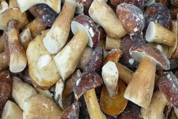 冷凍牛肝菌能直接微波爐解凍嗎 冷凍牛肝菌能直接微波爐解凍嗎