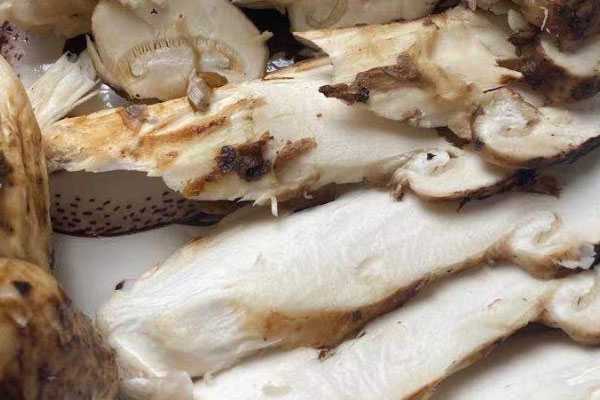 鮮松茸炒肉絲的食用禁忌